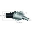 Termostat, chladivo MAHLE ORIGINAL TI 105 88