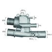 Termostat, chladivo MAHLE ORIGINAL TI 124 88