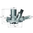 Termostat, chladivo MAHLE ORIGINAL TI 147 80