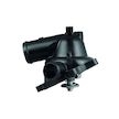 Termostat, chladivo MAHLE ORIGINAL TM 23 95