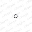 Těsnicí kroužek hřídele, vačkový hřídel PAYEN NF808