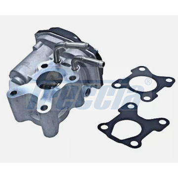 AGR-Ventil FRECCIA EGR12-224