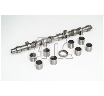 Sada vačkového hřídele AMC 641871K