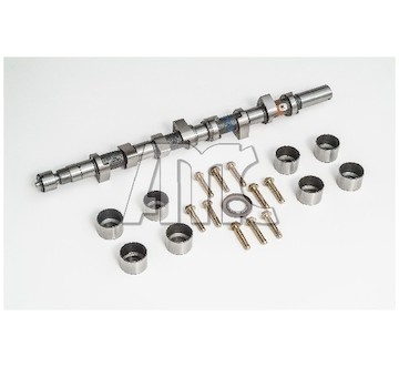 Sada vačkového hřídele AMC 647197K