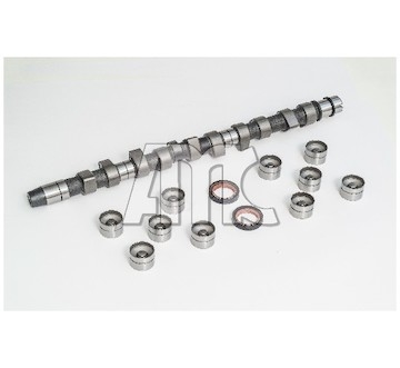 Sada vačkového hřídele AMC 653851K