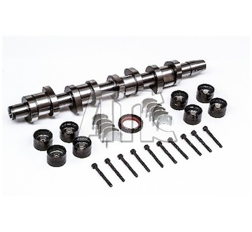 Sada vačkového hřídele AMC 666865K
