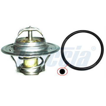 Termostat, chladivo FRECCIA TER33-00036