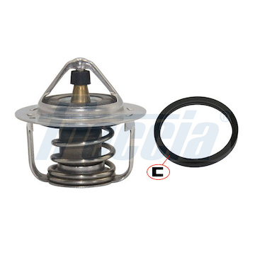 Termostat, chladivo FRECCIA TER33-00047