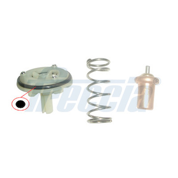 Termostat, chladivo FRECCIA TER33-00103