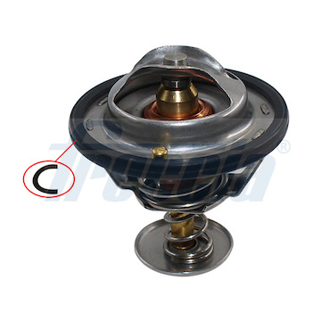 Termostat, chladivo FRECCIA TER33-00227