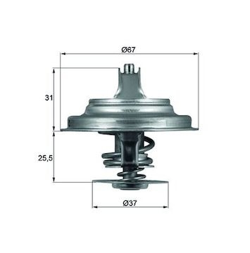 Termostat, chladivo MAHLE ORIGINAL TX 25 87D