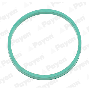 Těsnění, koleno sacího potrubí PAYEN JD6201