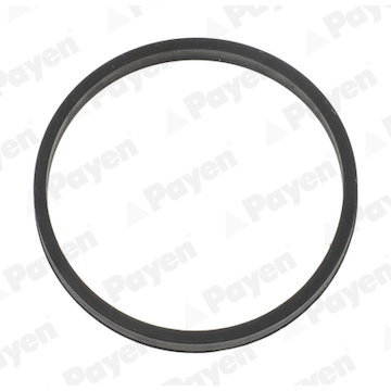 Těsnění, koleno sacího potrubí PAYEN JD6204