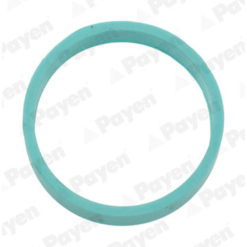 Těsnění, koleno sacího potrubí PAYEN JD6206