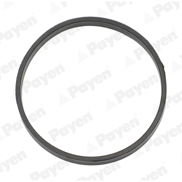 Těsnění, pouzdro kolena sacího potrubí PAYEN JD6197