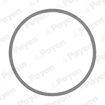 Těsnění, výfuková trubka PAYEN JE5097