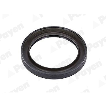 Těsnicí kroužek hřídele, vačkový hřídel PAYEN NA5504