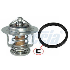 Termostat, chladivo FRECCIA TER33-00038