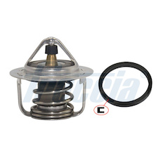 Termostat, chladivo FRECCIA TER33-00047