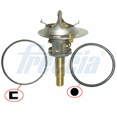 Termostat, chladivo FRECCIA TER33-00059