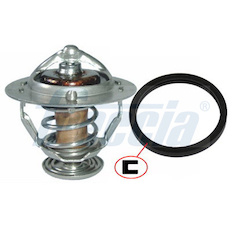 Termostat, chladivo FRECCIA TER33-00099