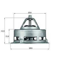 Termostat, chladivo MAHLE ORIGINAL TX 2 79