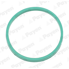 Těsnění, koleno sacího potrubí PAYEN JD6201