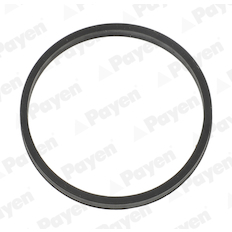 Těsnění, koleno sacího potrubí PAYEN JD6204