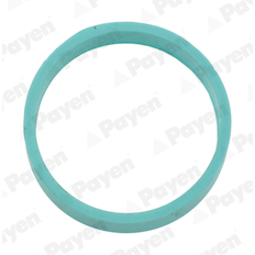 Těsnění, koleno sacího potrubí PAYEN JD6206