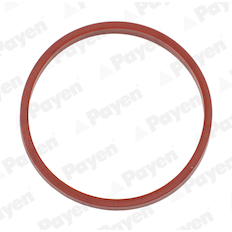 Těsnění, koleno sacího potrubí PAYEN JD6242