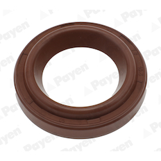 Těsnění, kryt hlavy válce PAYEN JM7279