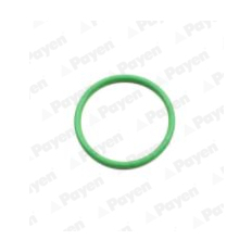 Těsnicí kroužek, dřík ventilu PAYEN PA858