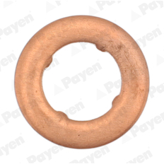 Těsnicí kroužek, držák trysky PAYEN KG5402