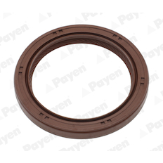 Těsnicí kroužek hřídele, klikový hřídel PAYEN NA5524