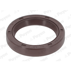 Těsnicí kroužek hřídele, vačkový hřídel PAYEN NB998